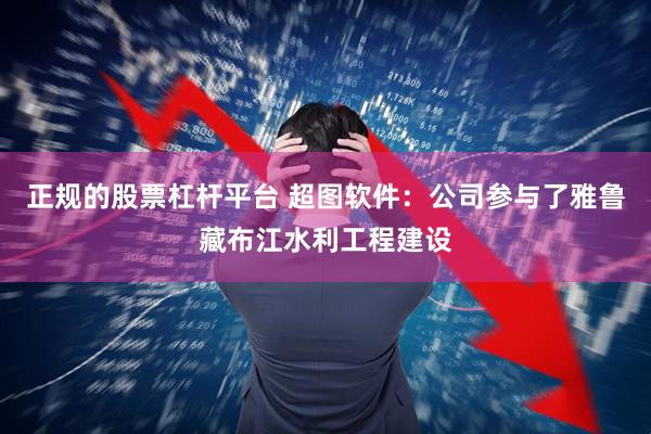 正规的股票杠杆平台 超图软件：公司参与了雅鲁藏布江水利工程建设