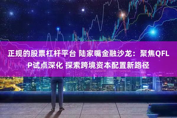 正规的股票杠杆平台 陆家嘴金融沙龙:聚焦QFLP试点深化 探索跨境资本配置新路径
